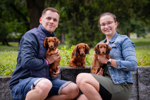 Fotka Narození prvních štěňat